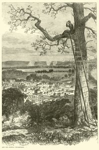 Kilátás Chattanoogára és a szövetségi táborra, 1863. november alkotó: American School