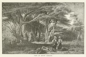 Kilátás a Libanon-hegyre alkotó: American School