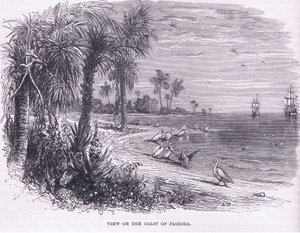 Kilátás Florida partjára, illusztráció Cassell története az Egyesült Államok pubjából. készítette: Petter & Galpin 1890 körül (litho) alkotó: American School