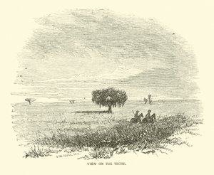 Nézet a Teche-ről, 1863. április alkotó: American School