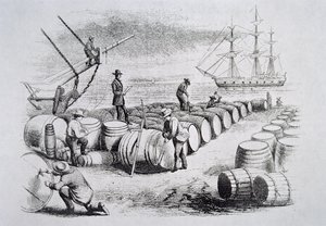 Bálnavadászok hordókban olajat mérnek, The American Whale Fishery, 1850 körül (metszet) alkotó: American School