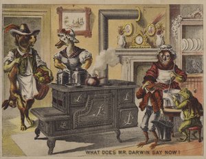 Mit mond most Darwin úr? (chromolitho) alkotó: American School