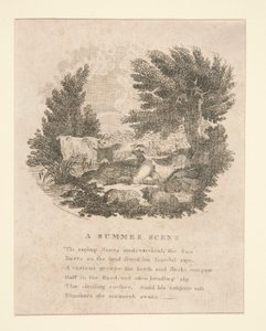 Nyári jelenet (verssel)