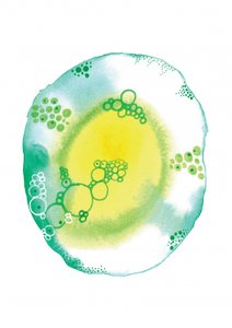 Szerves folyadékbuborékok alkotó: Amy Louise Baker