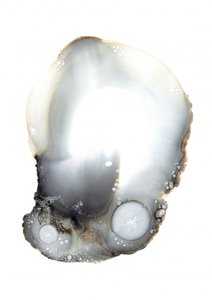 XI. minta alkotó: Amy Louise Baker