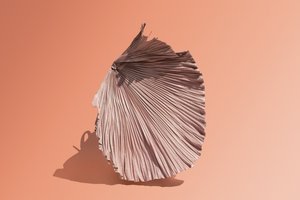 alkotó: Ana Carolina Tavares Mizrahi