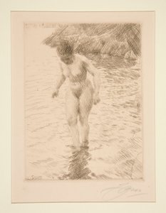 dollárt alkotó: Anders Leonard Zorn