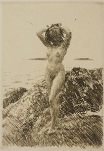 Hårtång (tengeri alga koszorú) alkotó: Anders Zorn