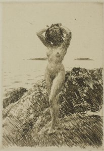 Hårtång (tengeri alga koszorú) alkotó: Anders Leonard Zorn