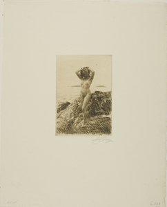 Hårtång (tengerifa koszorú) alkotó: Anders Leonard Zorn