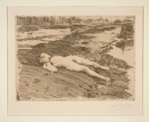 A homokon alkotó: Anders Leonard Zorn
