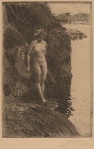 Szakadék alkotó: Anders Leonard Zorn