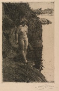 Szakadék alkotó: Anders Leonard Zorn