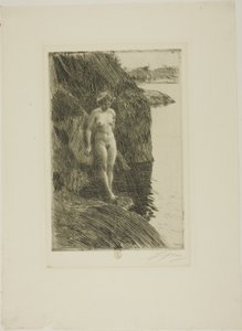 Szakadék alkotó: Anders Leonard Zorn