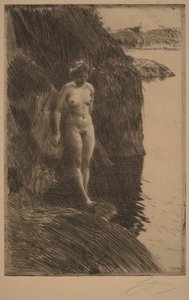Szakadék alkotó: Anders Zorn