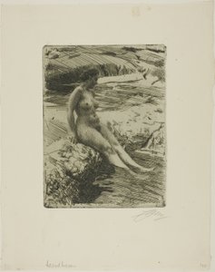 Sand Harbor alkotó: Anders Leonard Zorn