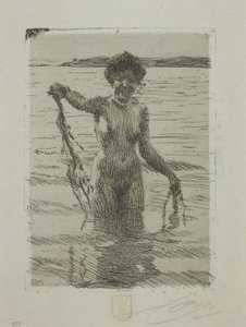 Hínár alkotó: Anders Leonard Zorn