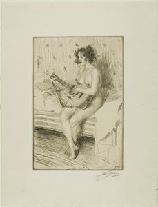 A gitáros alkotó: Anders Leonard Zorn