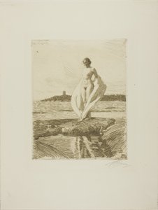 A hattyú alkotó: Anders Leonard Zorn