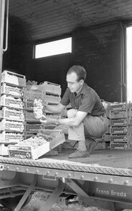 KESERŰ SZŐLŐ - A TEHERVAGONBAN alkotó: Ando Gilardi