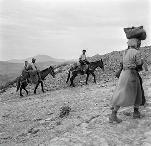 A földművesek hazafelé tartanak a földekről Lucaniában, Basilicata, Olaszország