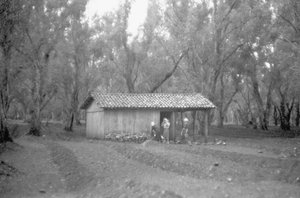 MENEDÉK AZ OLAJFALIGETBEN alkotó: Ando Gilardi