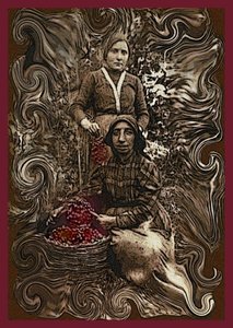  alkotó: Ando Gilardi