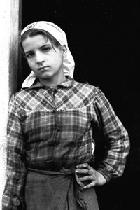 Olajbogyószedő fiatal lány Calabriában, Olaszország, 1955 körül (fekete-fehér fotó)