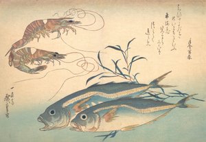 Aji Fish és Kuruma-ebi, az Uozukushi Every Variety of Fish sorozatból, 1830-as, 1830-as évek.