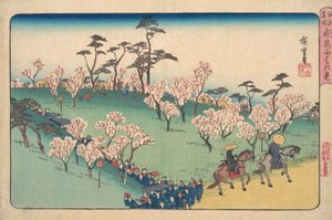 Asukayama Hanami.  alkotó: Ando Hiroshige