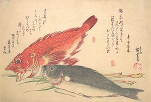 Isaki és Kasago Fish, az Uozukushi Every Variety of Fish sorozatból, 1830-as, 1830-as évek. alkotó: Ando Hiroshige