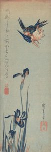 Jégmadár és íriszek, 1832-34., 1832-34. alkotó: Ando Hiroshige
