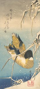 Tőkés réce és hóval borított nád, kb. 1832., kb. 1832. alkotó: Ando Hiroshige