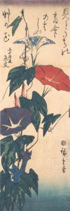Morning Glories, kb. 1843., kb. 1843. alkotó: Ando Hiroshige