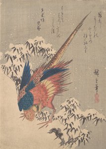 Fácán hóterhelt bambusz között a domboldalon, kb. 1840., kb. 1840. alkotó: Ando Hiroshige