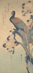 Fácán krizantémokkal, kb. 1835., kb. 1835. alkotó: Ando Hiroshige