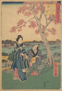 Szilvavirágnézés a harmadik hónapban a Sumida folyónál az Annual Events at F... sorozatból, 1854. alkotó: Ando Hiroshige