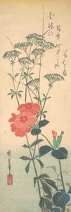Kiváló Pinks és Kínai Agrimony, kb. 1836., kb. 1836. alkotó: Ando Hiroshige