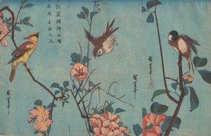 Cirmos és kaméliák jobbra, veréb és vadrózsa középen, valamint fekete oriol..., 1833 körül. alkotó: Ando Hiroshige