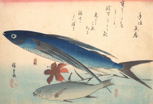 Tobiuo és Ishimochi Fish, az Uozukushi Every Variety of Fish sorozatból, 1840-es, 1840-es évek. alkotó: Ando Hiroshige