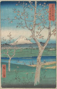 Kilátás a Fuji-hegyre Koshigaya-ból, Musashi Musashi tartomány, Kos..., 4. hónap, 1858-as lóév.