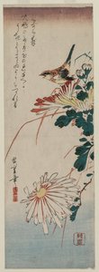 Poszcsa és krizantém, 1830-as évek közepe. alkotó: Ando Hiroshige