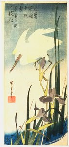 Fehér gém és íriszek, 1833 alkotó: Ando Hiroshige
