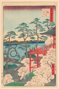 Yamashita negyed, Ueno (Ueno Yamashita) Az Edo száz nézete sorozatból alkotó: Ando Hiroshige