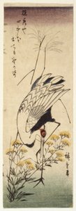 Daru vadmustárral (színes fatömbnyomat) alkotó: Ando or Utagawa Hiroshige