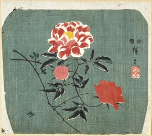 Legyezőnyomat: Rose alkotó: Ando or Utagawa Hiroshige