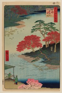 Akiba szentély, Ukeji alkotó: Ando or Utagawa Hiroshige