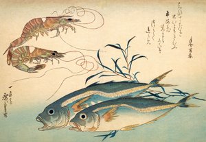 Japán fattyúmakréla és japán tigrisrák (színes fatömbnyomat) alkotó: Ando or Utagawa Hiroshige