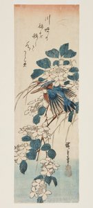 Jégmadár és Viburnum (színes fatömbnyomat) alkotó: Ando or Utagawa Hiroshige