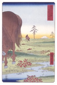 Kogane Plain In Shim?sa Province (Shim?sa Koganegahara) (színes fatömbnyomat) alkotó: Ando or Utagawa Hiroshige